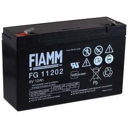 batéria pre skútr, invalidný vozík 6V 12Ah (nahrádza tiež 10Ah) - FIAMM originál